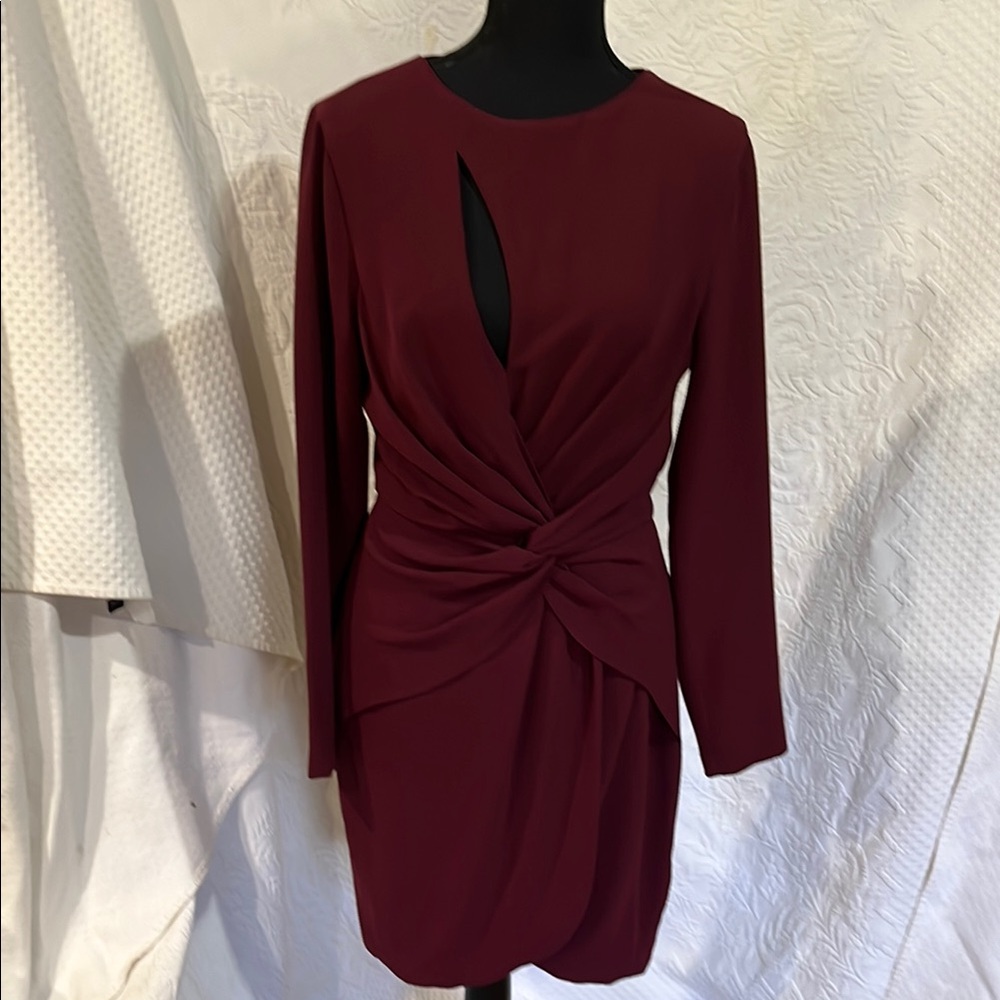 Dress the Population‎ Burgundy Long Sleeve Dress